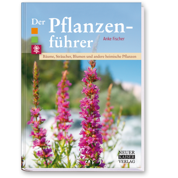 Der Pflanzenführer Natur erkennen und bestimmen Cover Vorderseite Neuer Kaiser Verlag Onlineshop