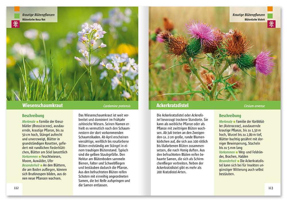 Der Pflanzenführer Natur erkennen und bestimmen Leseprobe S112–113 Neuer Kaiser Verlag Onlineshop