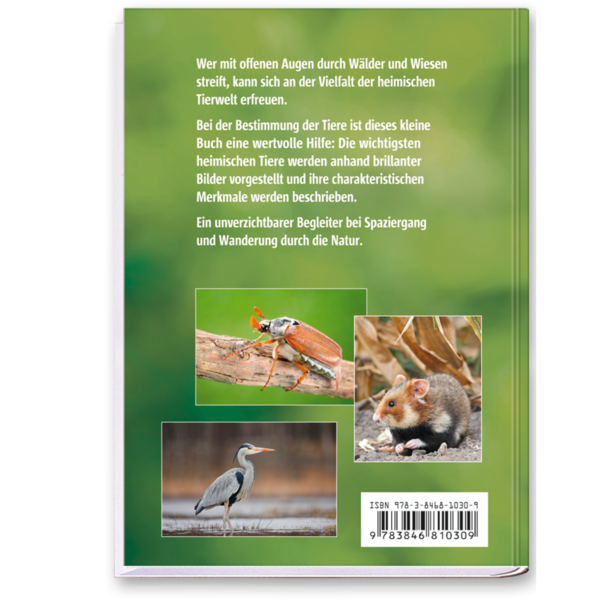 Der Tierführer Natur erkennen und bestimmen Cover Rückseite Neuer Kaiser Verlag Onlineshop