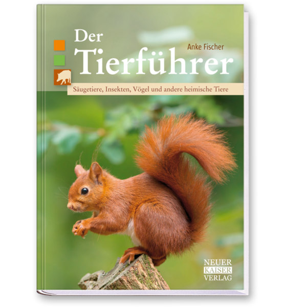 Der Tierführer Natur erkennen und bestimmen Cover Vorderseite Neuer Kaiser Verlag Onlineshop