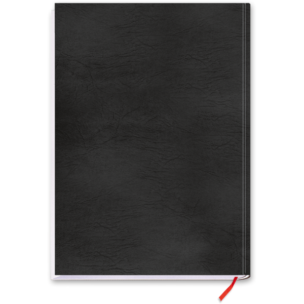 Die Kunst des Krieges von Sun Tzu ein Buch über Militärstrategien Cover Rückseite Edition XXL Onlineshop