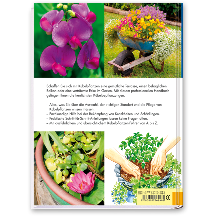 Die perfekte Kübelpflanze Buch Bepflanzung von Kübeln für den Garten Cover Rückseite Edition XXL Onlineshop