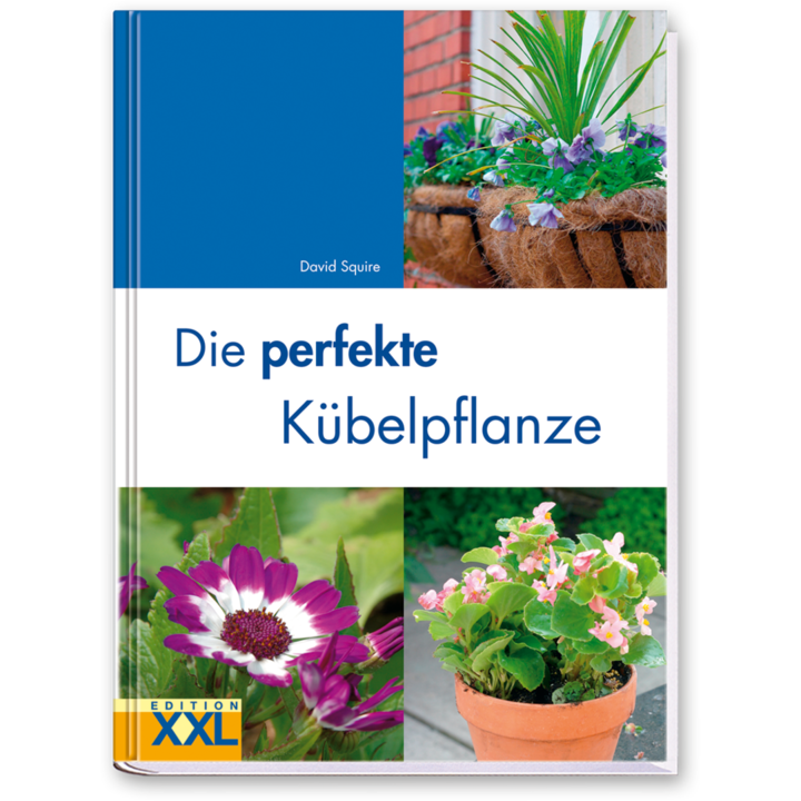 Die perfekte Kübelpflanze Buch Bepflanzung von Kübeln für den Garten Cover Vorderseite Edition XXL Onlineshop