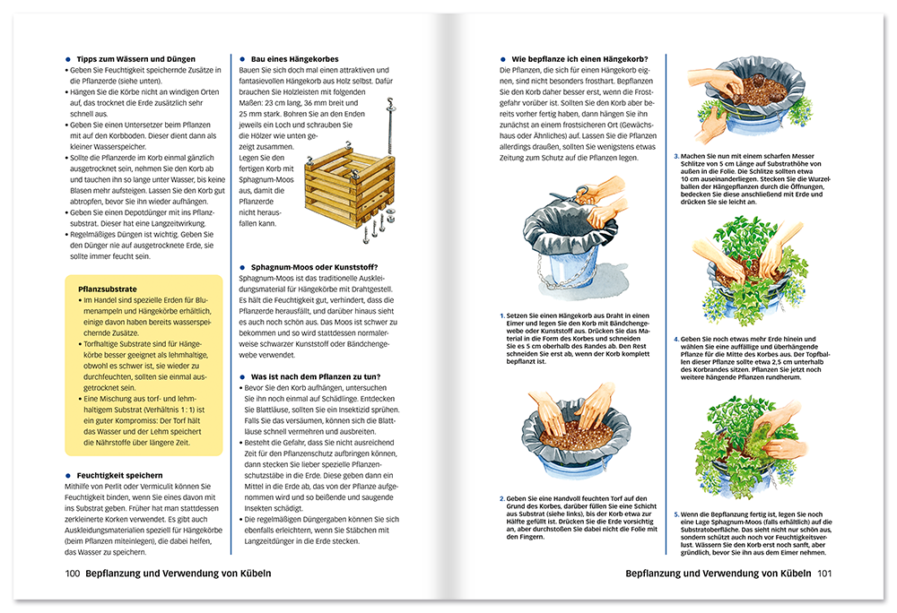 Die perfekte Kübelpflanze Buch Bepflanzung von Kübeln für den Garten Leseprobe S100-101 Edition XXL Onlineshop