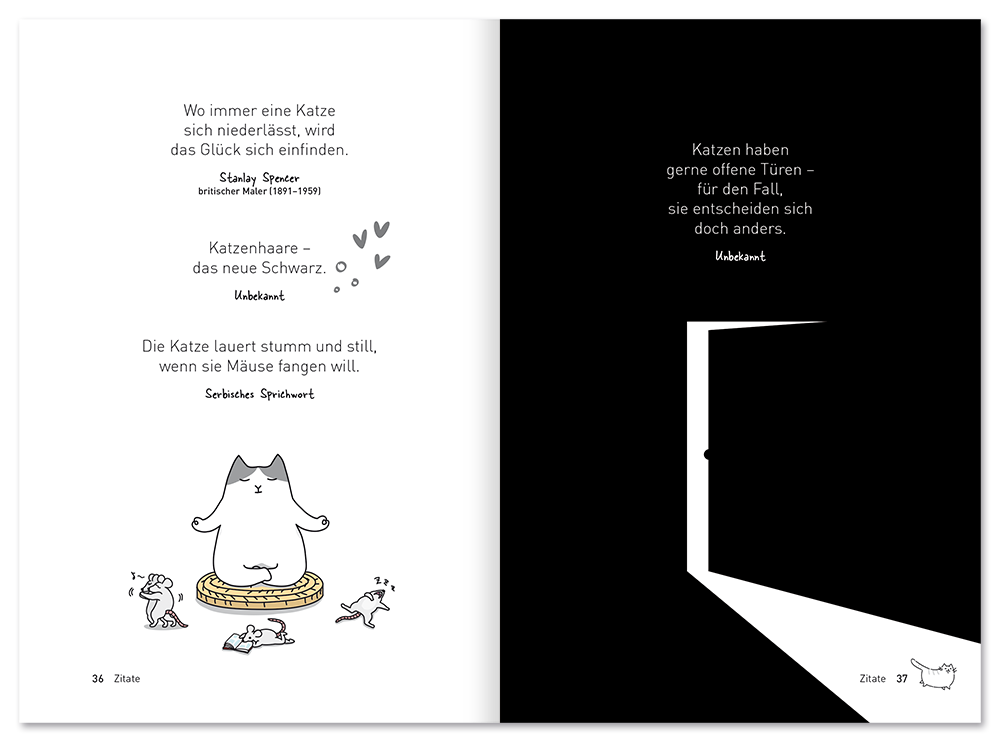 Die Wahrheit über Katzen Schwarzer Humor Katze Leseprobe S36–37 EDITION XXL Onlineshop