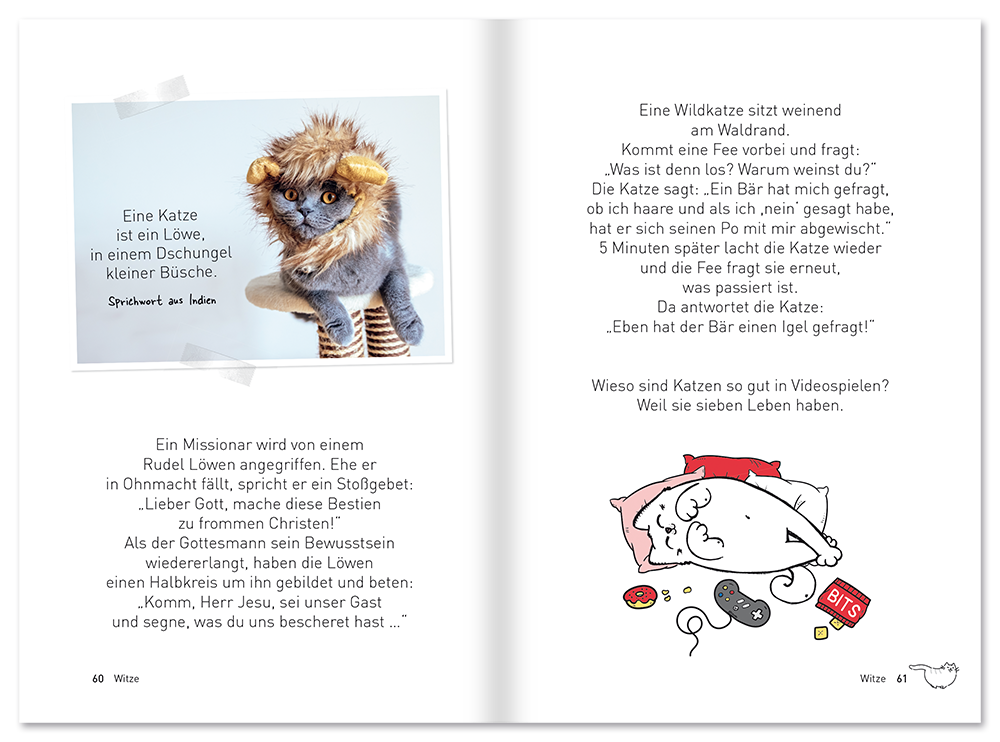 Die Wahrheit über Katzen Schwarzer Humor Katze Leseprobe S60–61 EDITION XXL Onlineshop
