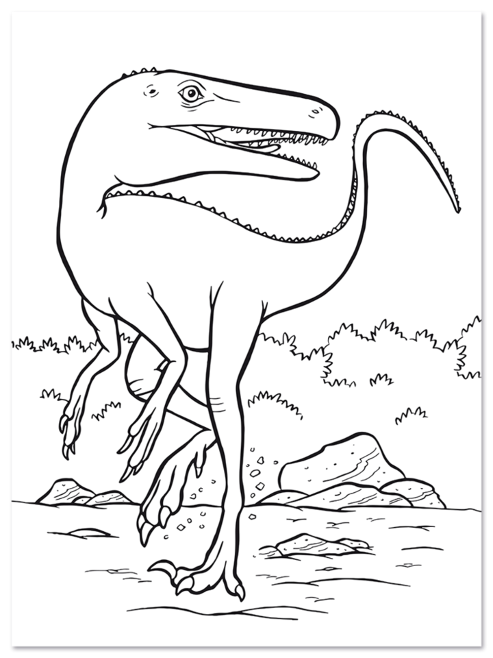 Dinosaurier Malblock Kinder Urzeitgiganten Leseprobe S4 Neuer Favorit Verlag Onlineshop