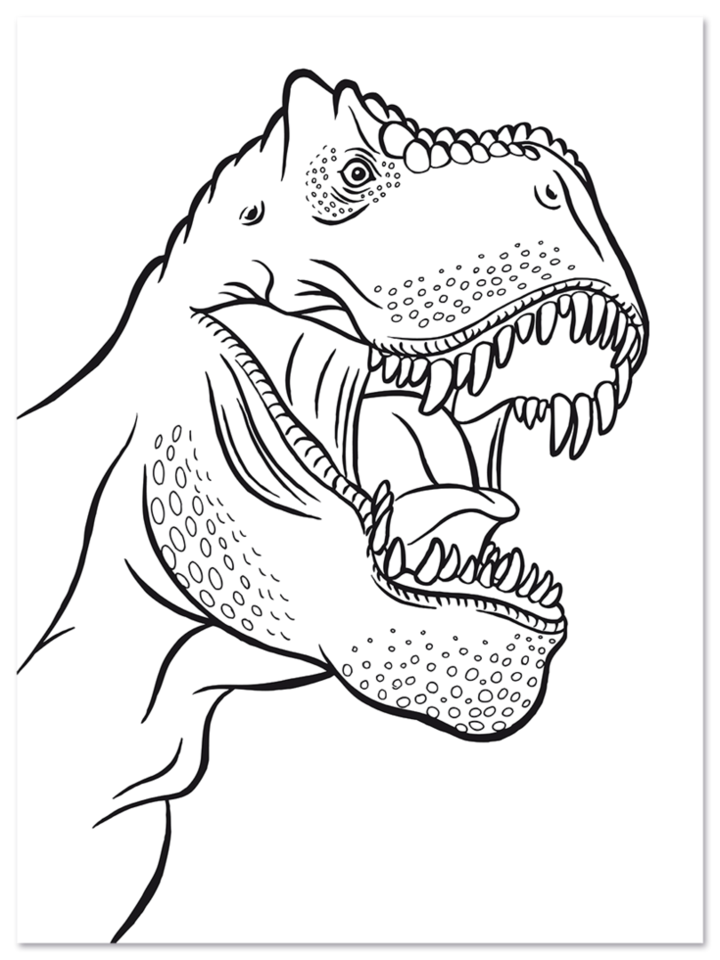 Dinosaurier Malblock Kinder Urzeitgiganten Leseprobe S7 Neuer Favorit Verlag Onlineshop