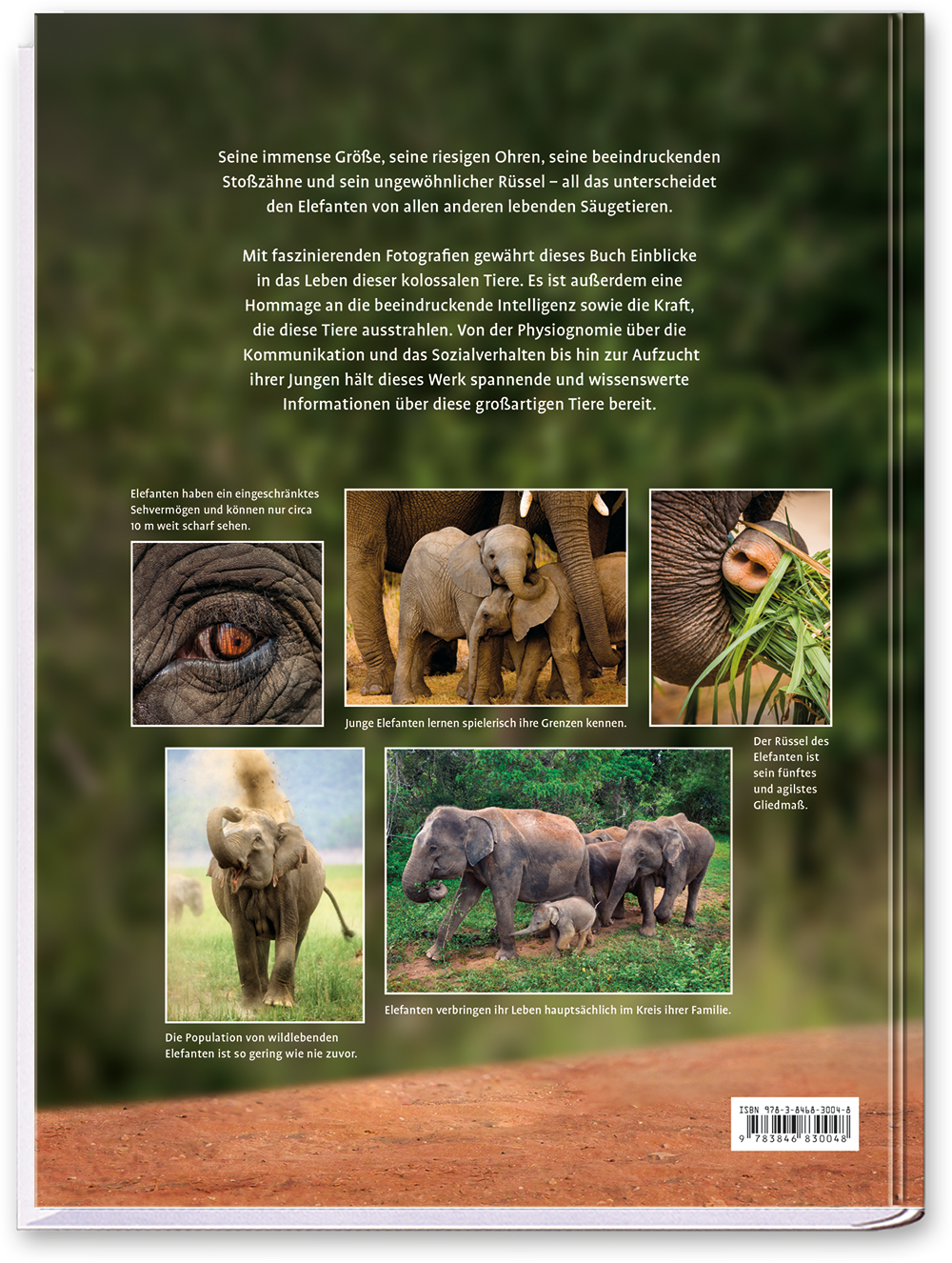 Elefanten Bildband mit beeindruckenden Fotos Cover Rückseite Neuer Kaiser Verlag Onlineshop