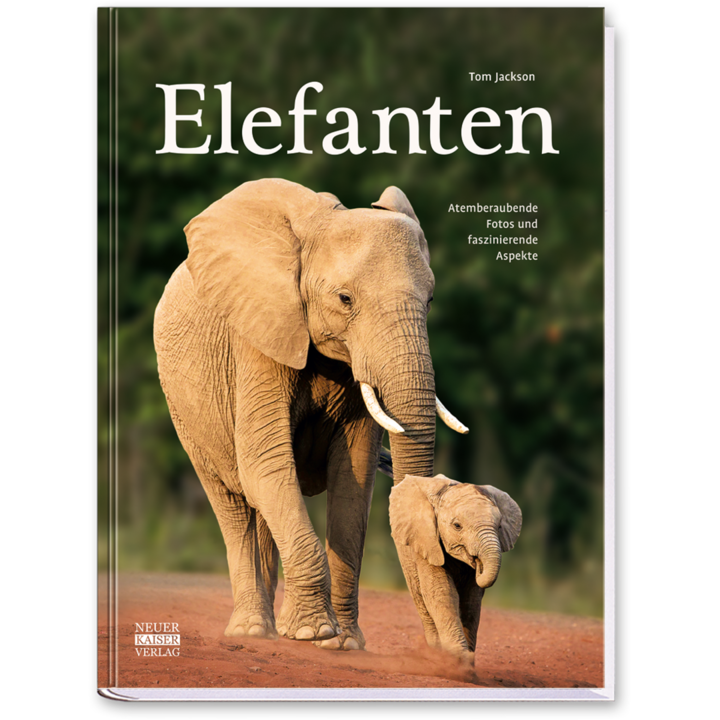 Elefanten Bildband mit beeindruckenden Fotos Cover Vorderseite Neuer Kaiser Verlag Onlineshop