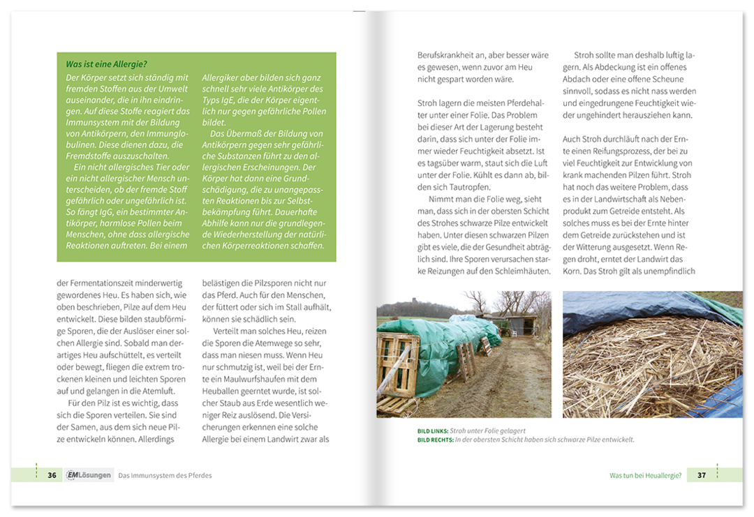 EM Lösungen – Pferde Ratgeber Leseprobe S36–37 Tosa Verlag Onlineshop