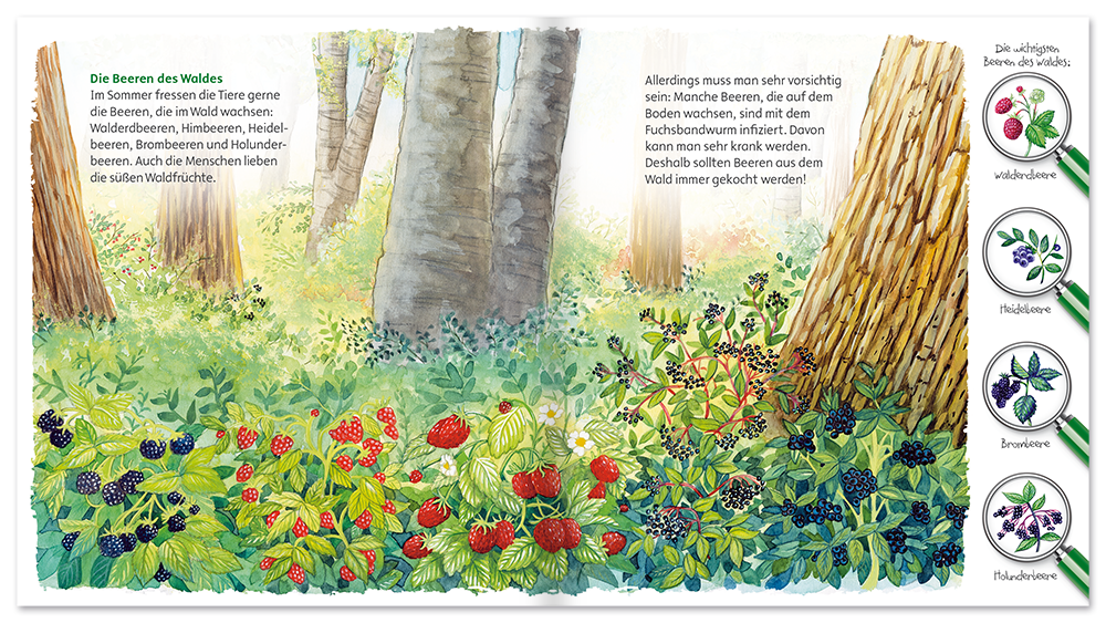Entdecke unsere Welt – Der Welt Natur Kinder Folienbuch Leseprobe S16–17 Neuer Favorit Verlag Onlineshop