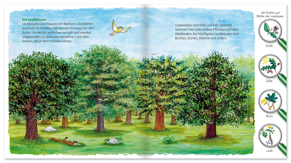 Entdecke unsere Welt – Der Welt Natur Kinder Folienbuch Leseprobe S4–5 Neuer Favorit Verlag Onlineshop