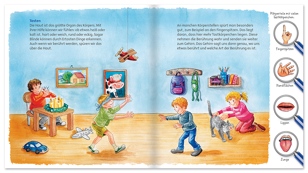 Entdecke unsere Welt – Die sieben Sinne Körper Kinder Folienbuch Leseprobe S16–17 Neuer Favorit Verlag Onlineshop