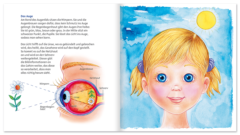 Entdecke unsere Welt – Die sieben Sinne Körper Kinder Folienbuch Leseprobe S6–7 Neuer Favorit Verlag Onlineshop