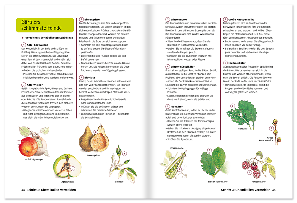 Handbuch Der perfekte Biogarten Werde zum Biogärtner Leseprobe S44-45 Edition XXL Onlineshop
