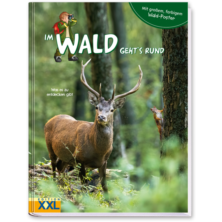Im Wald geht's rund Kinderbuch den Wald kennenlernen inkl. Poster Cover Vorderseite Edition XXL Onlineshop