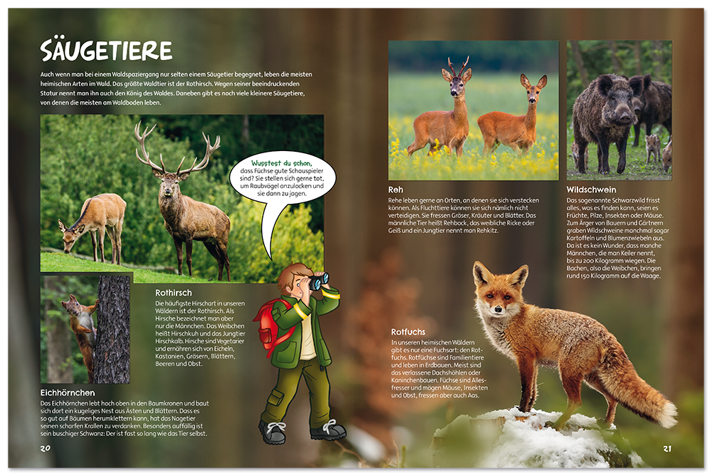 Im Wald geht's rund Kinderbuch den Wald kennenlernen inkl. Poster Leseprobe S20-21 Edition XXL Onlineshop