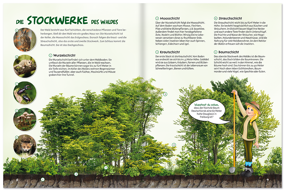 Im Wald geht's rund Kinderbuch den Wald kennenlernen inkl. Poster Leseprobe S8-9 Edition XXL Onlineshop