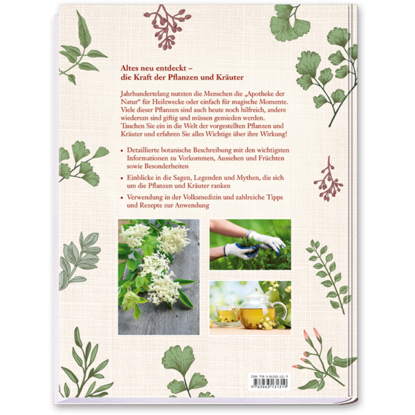 Hexenkraut & Zauberpflanzen