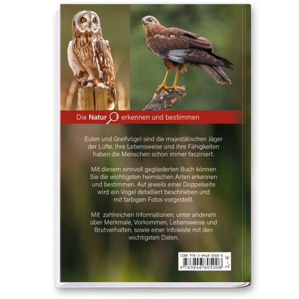 Eulen und Greifvögel