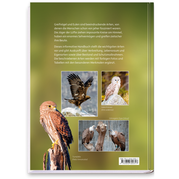 Greifvögel und Eulen