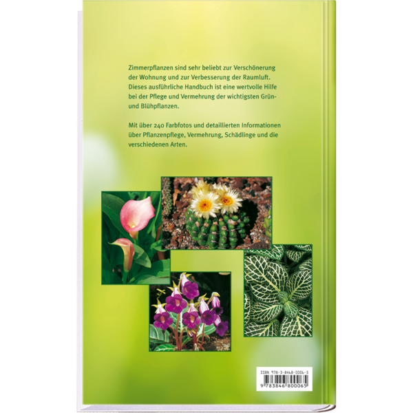Zimmerpflanzen