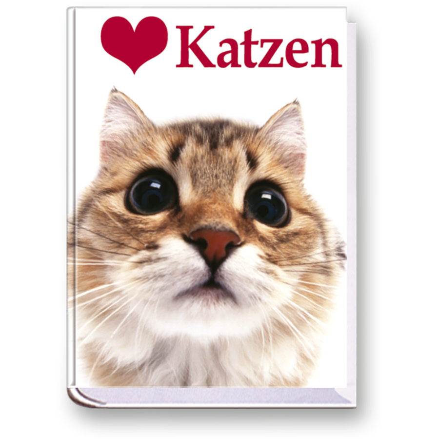 Ich liebe Katzen