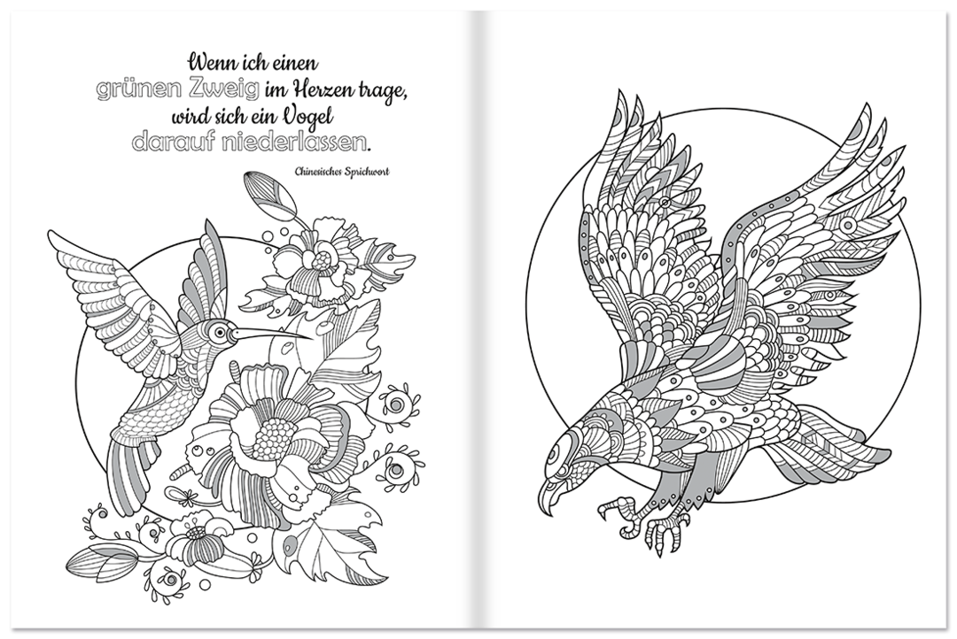 Farbenfrohe Vögel – Malbuch & Zitate