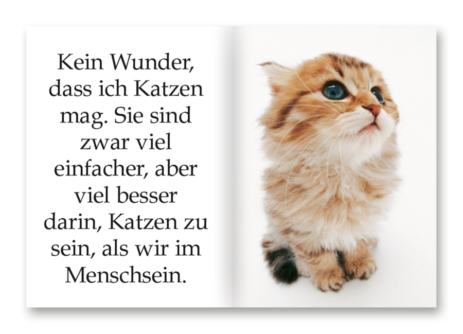 Ich liebe Katzen