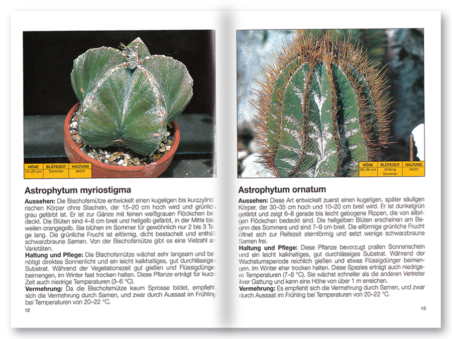 Mehr Freude mit ... Kakteen