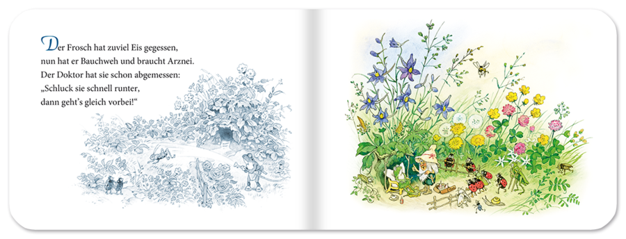 Freizeit bei den Fröschen