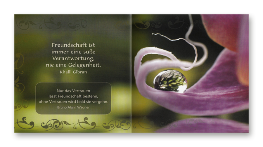 Freundschaft – Eine Verbindung fürs Leben – mit CD