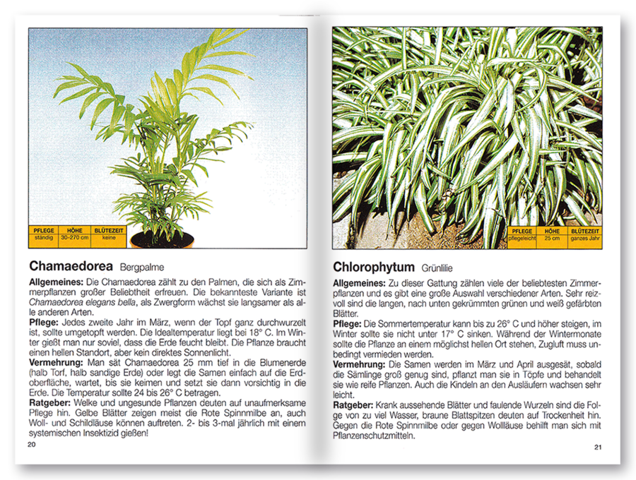 Mehr Freude mit ... Grün- und Kübelpflanzen