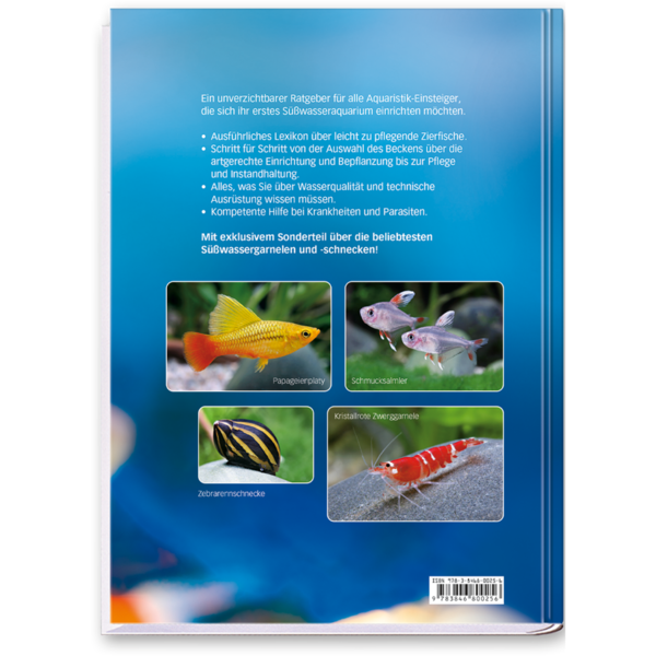 Mein Aquarium
