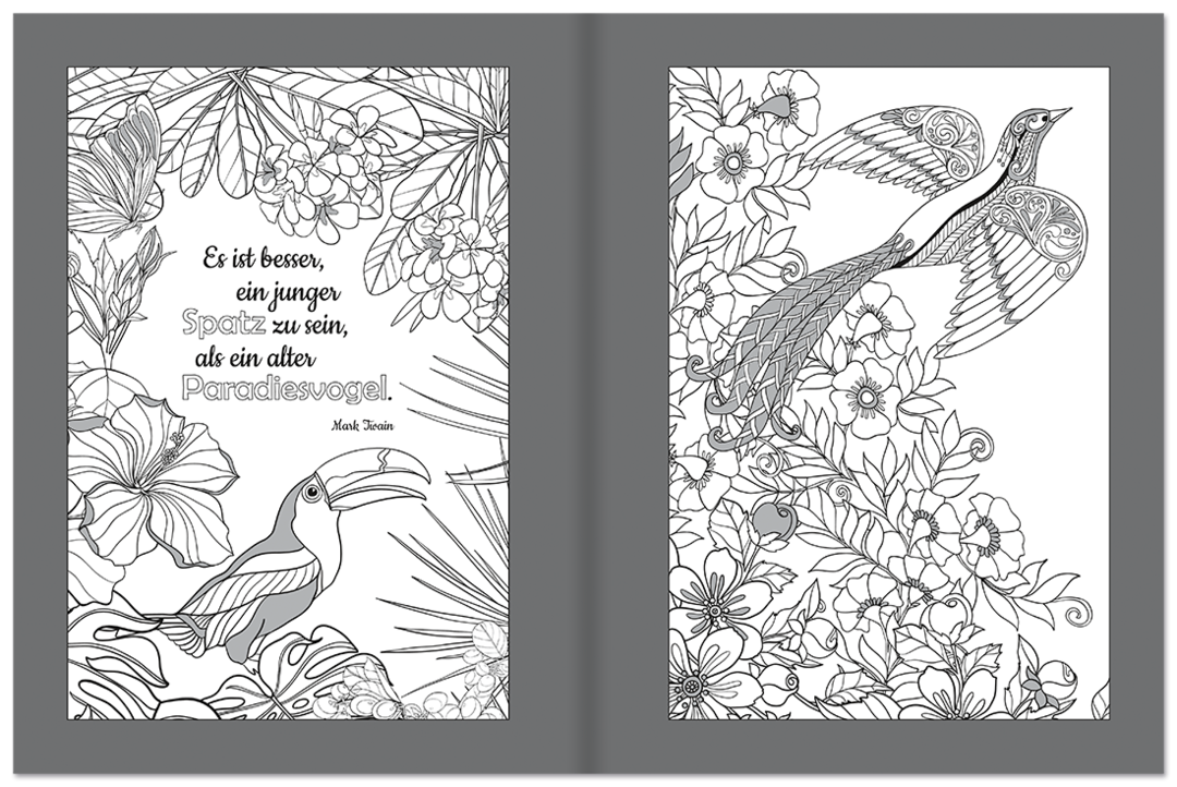 Farbenfrohe Vögel – Malbuch & Zitate