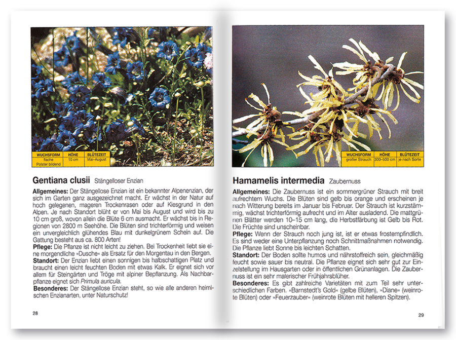 Mehr Freude mit ... Frühling in Garten und Park