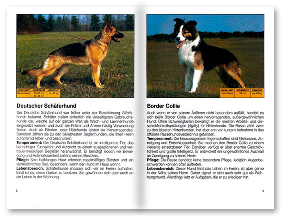 Mehr Freude mit ... Hunde