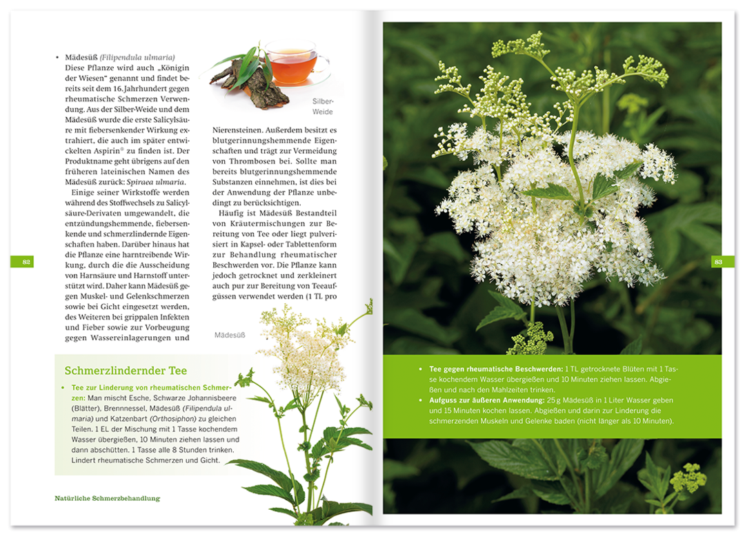 Schmerzen natürlich besiegen