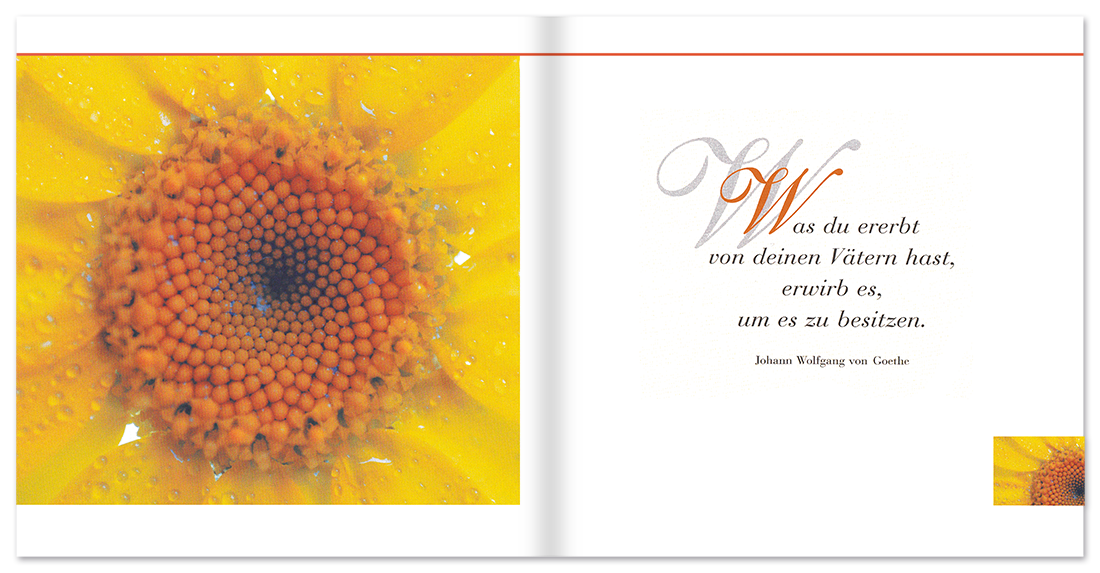 Herzlichen Glückwunsch Papa