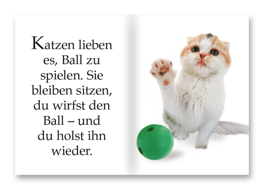 Ich liebe Katzen