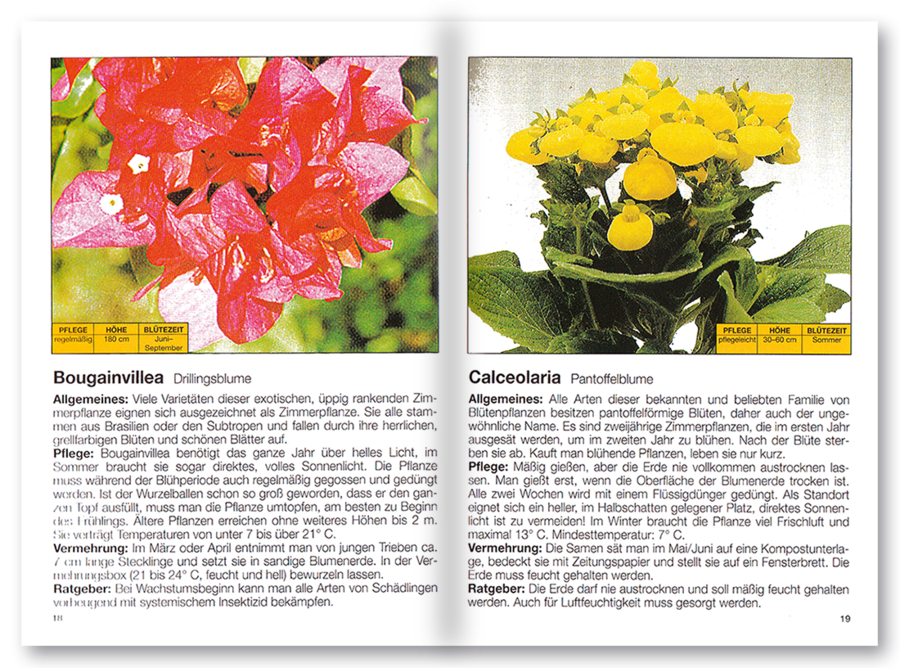 Mehr Freude mit ... Zimmerpflanzen