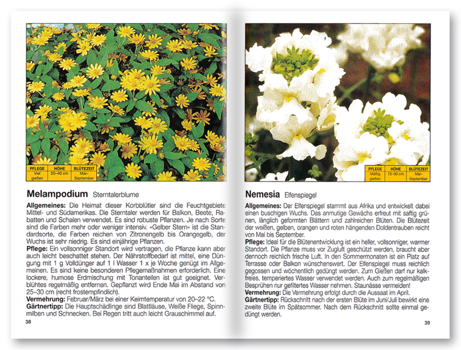 Mehr Freude mit ... Blütenpracht auf Balkon und Terrasse