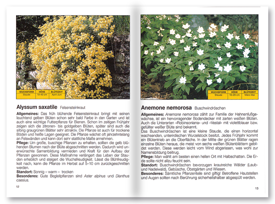 Mehr Freude mit ... Frühling in Garten und Park