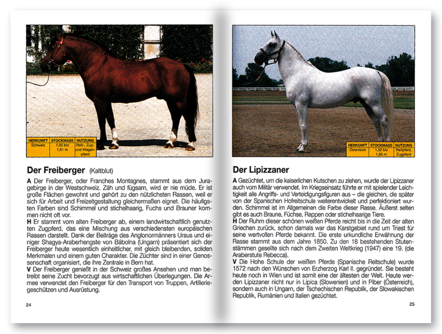 Mehr Freude mit ... Pferde