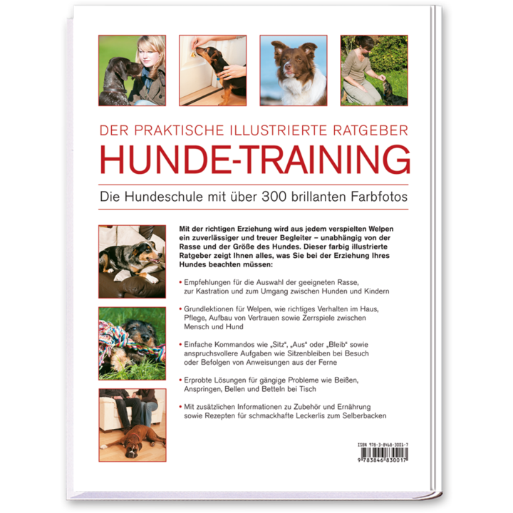 Hunde-Training