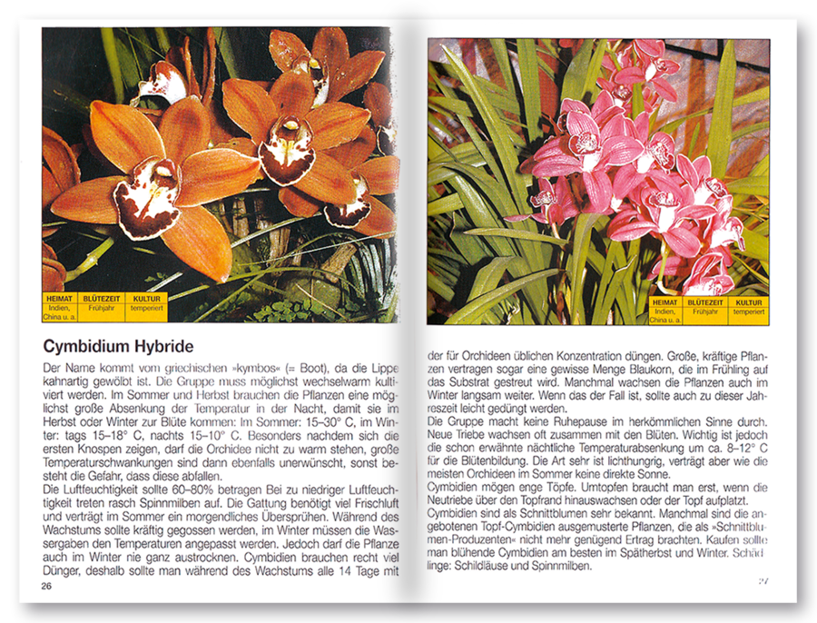 Mehr Freude mit ... Orchideen