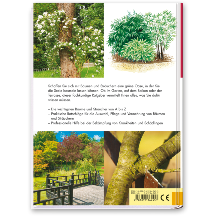 Perfekte Bäume und Sträucher