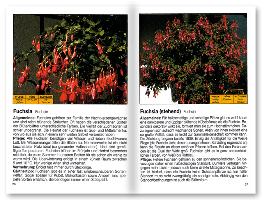 Mehr Freude mit ... Blütenpracht auf Balkon und Terrasse