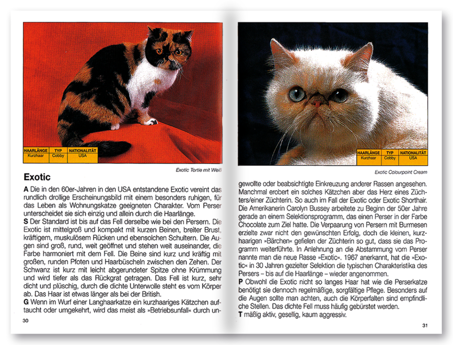 Mehr Freude mit ... Katzen